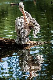 R星被曝在今年公开一款大作 或在明年发售